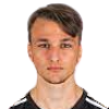 T. Scernjavic