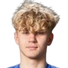Player avatar