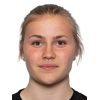 N. Karlsson