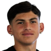 G. D'Agostino