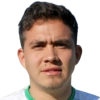 L. Perez Godoy