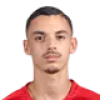 R. Nasraoui
