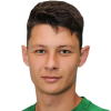 K. Matveev