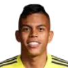 D. Pedrozo