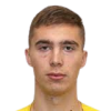 A. Vasiljevic