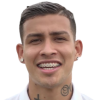 J. Pucheta