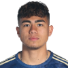 N. Martinez
