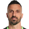 M. Mitrovic