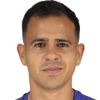 W. Araujo