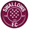 Đội U23 Swallows