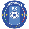 Câu lạc bộ bóng đá Avondale
