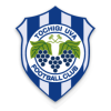 Thành phố Tochigi