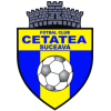 Thành Suceava