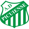 Picuiense