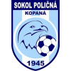 Policna