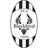 FCJ Blackbird