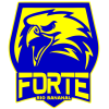 Forte U20