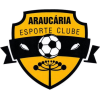 Araucaria U20
