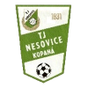 Nesovice