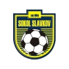 Sokol Slavkov