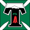Thể thao Temuco