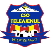 Valenii de Munte