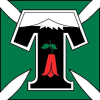 Deportes Temuco W