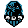 3BS