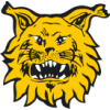 Ilves 2