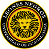 Leones Negros