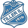Tiller