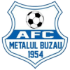 Kim loại Buzau